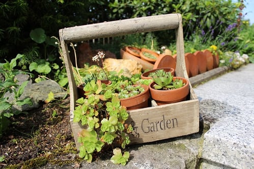 Gardening container for outdoor kitchen