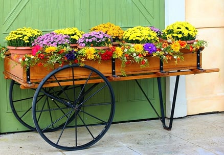 Flower cart container garden